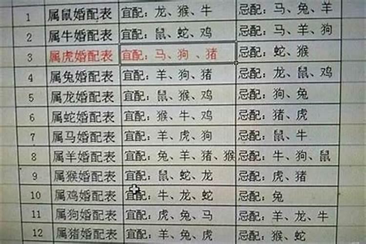 属狗的和什么属相婚配最佳