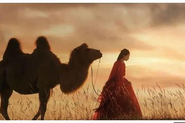 八字有孤鸾是什么意思