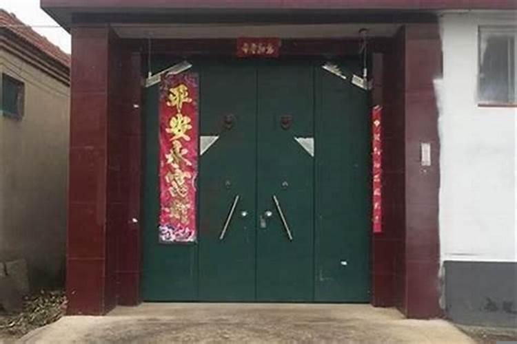 仙人掌可以防什么