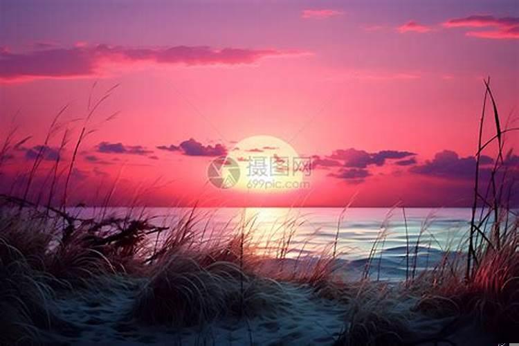 梦见海边景色特别美什么意思