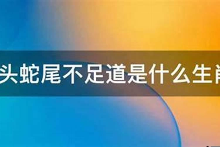 属鼠的几月份出生好