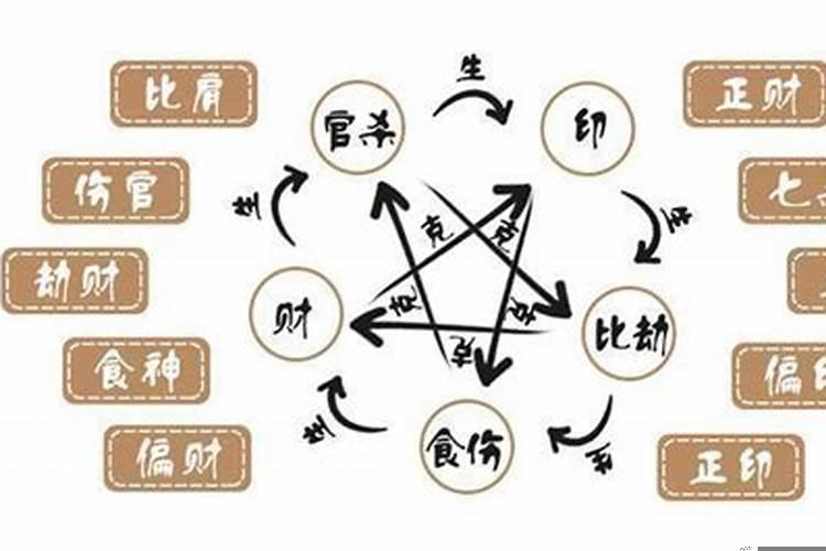 八字十神才是什么意思