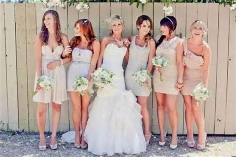 仙人掌可以防什么