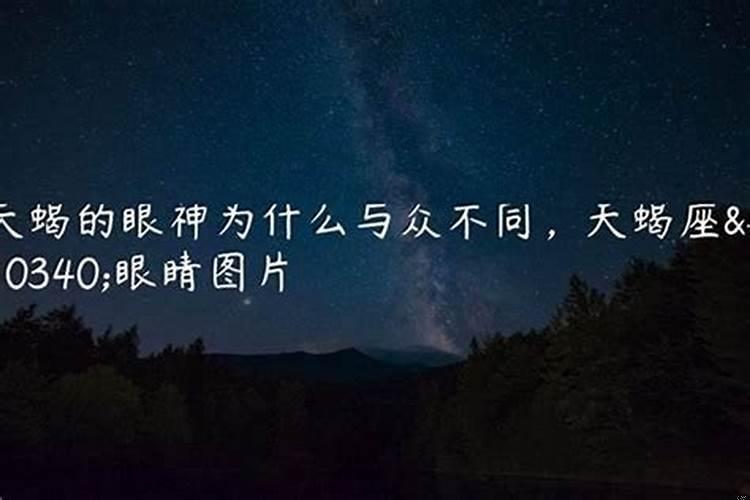 属兔的天蝎座女生