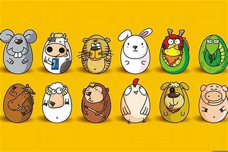 94年的狗和99年兔能不能结婚呢