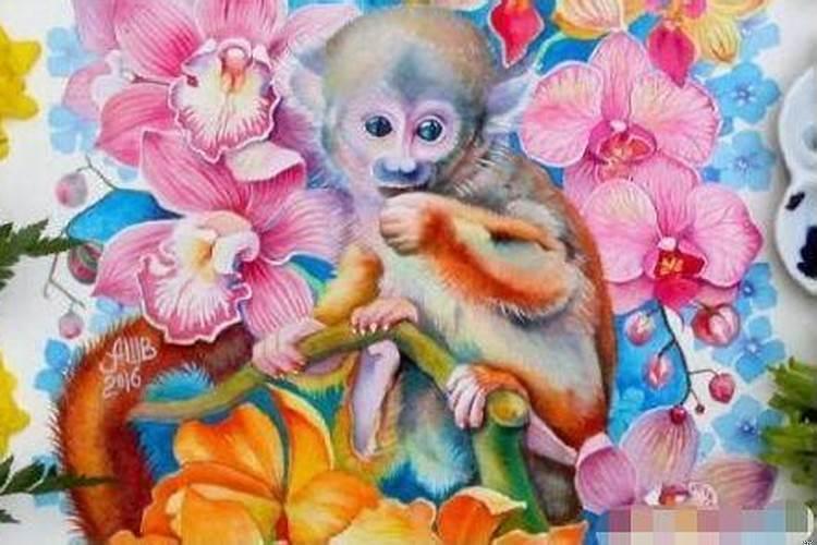 不同月份出生的属猴人，命运大不同!