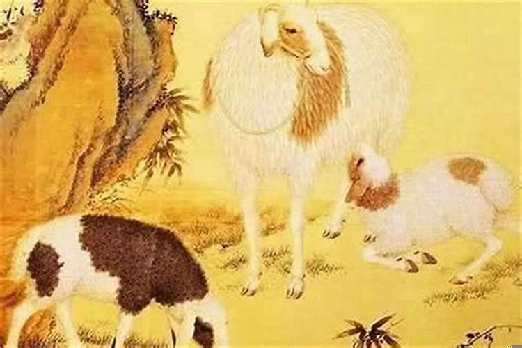 82年属狗那年运气好