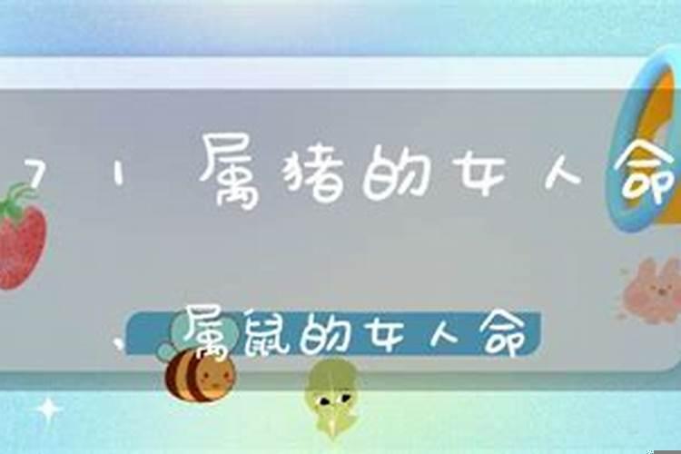 属猪的女人命好吗