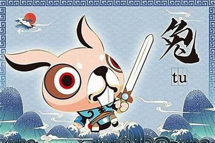 属兔的人适合居住哪个楼层