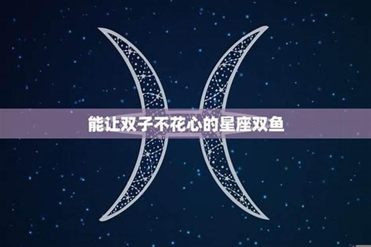 双子座和双鱼座谁更心机