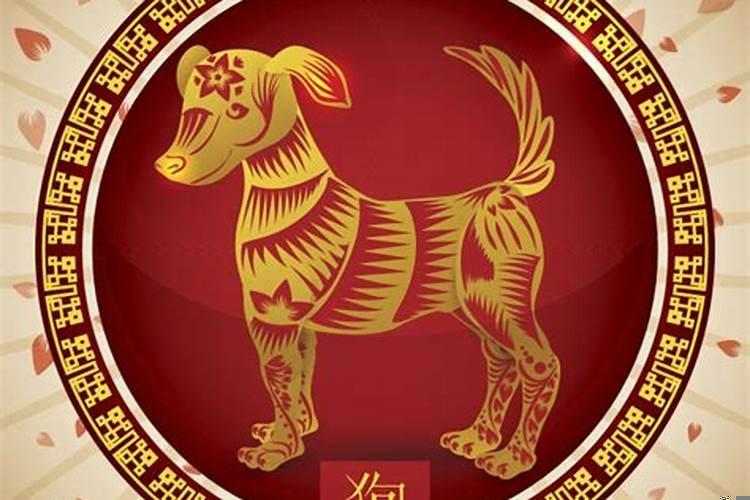 82年属狗那年运气好