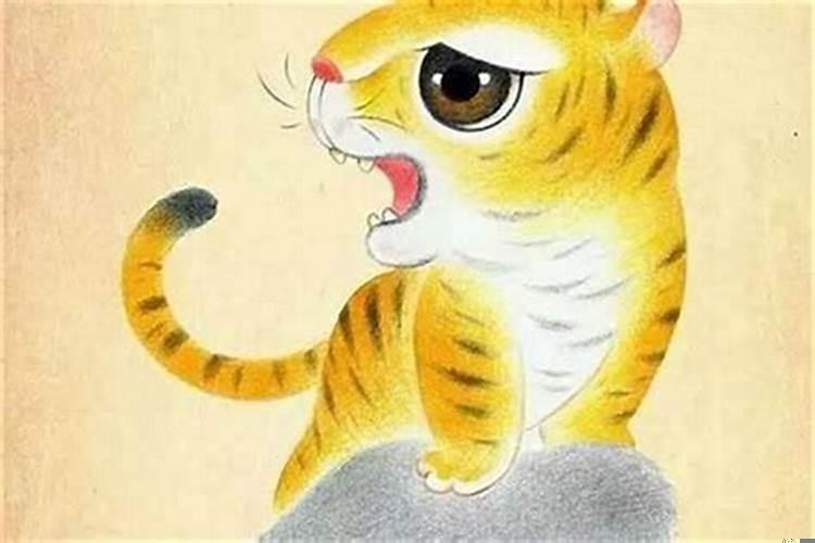 属虎的人会克家人吗