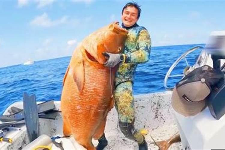 做梦梦见抓到一条大红鱼