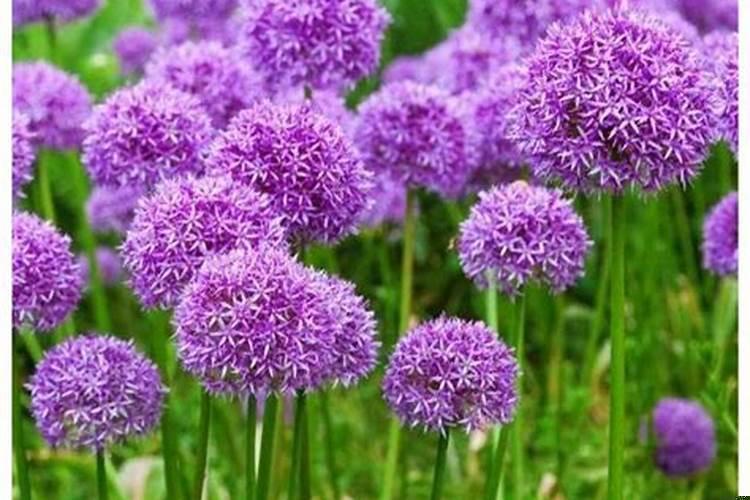 天蝎男对真爱会放手吗