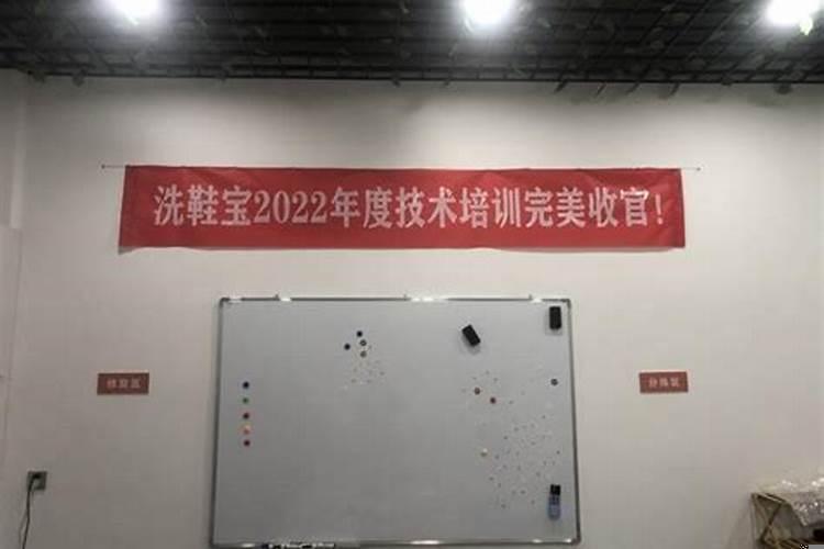 房顶上麻雀太多了有什么办法能赶走