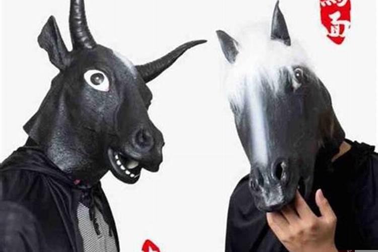 阴阳双合什么意思