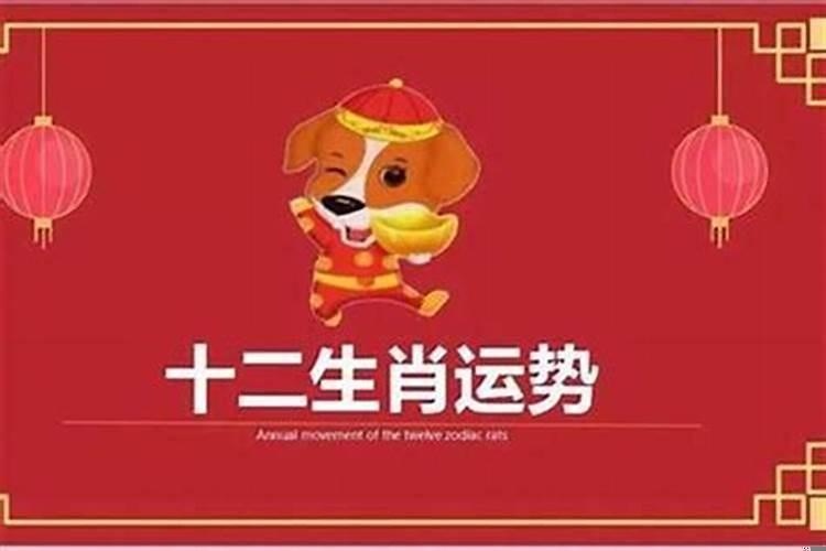 82年属狗那年运气好