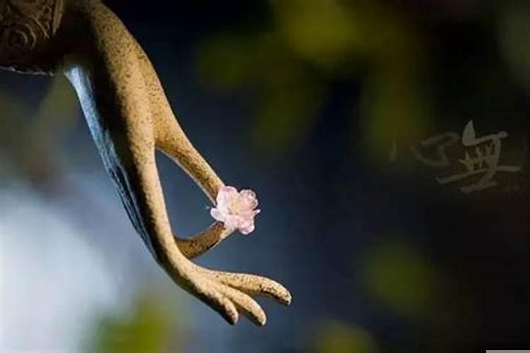 拈花一笑的典故说明什么