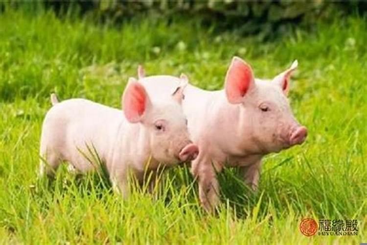 2025年农历五月结婚好不好