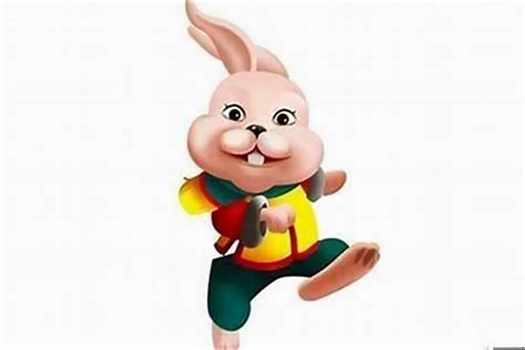 属兔佩戴什么饰物