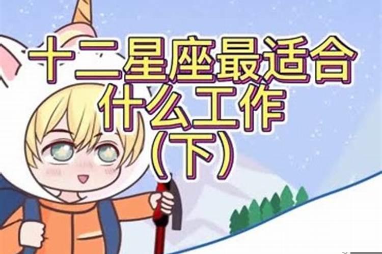 工作中最好的几个星座是