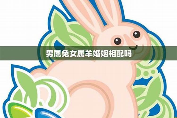 属兔男和属羊女婚姻配吗