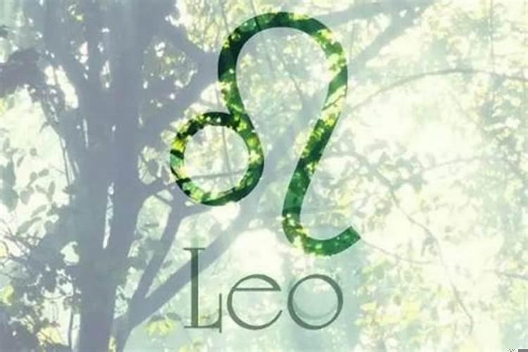 狮子男谈最多的星座女