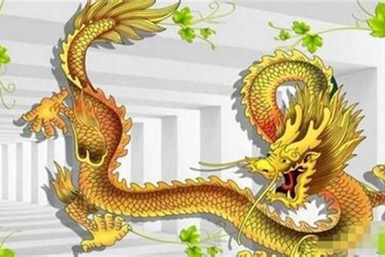 属龙最命苦出生日期