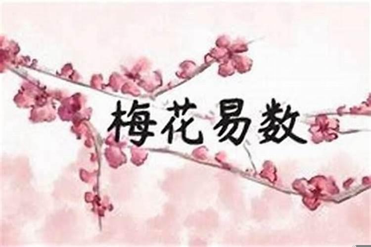 梅花易数测婚姻怎么看