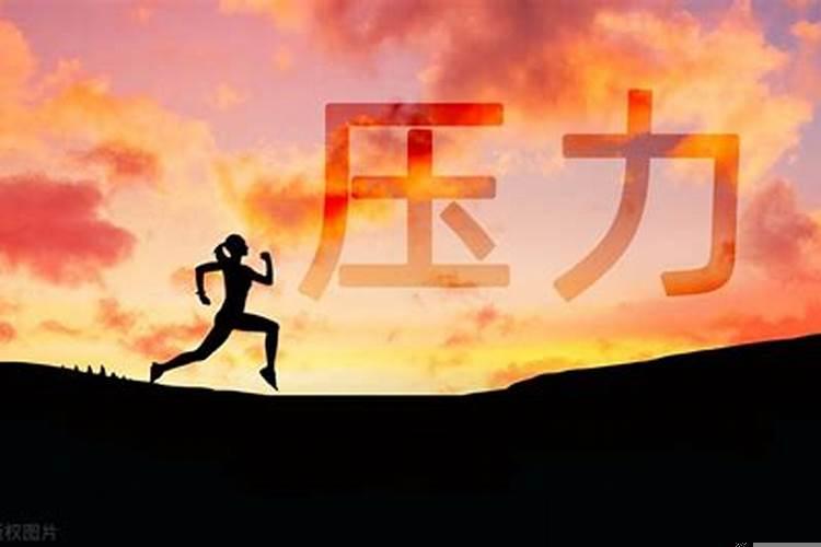 抗压能力最强的生肖