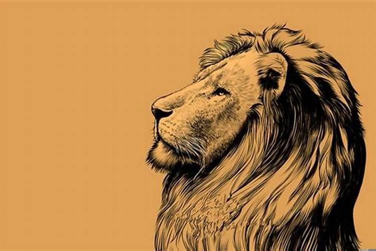 摩羯女喜欢狮子男为什么