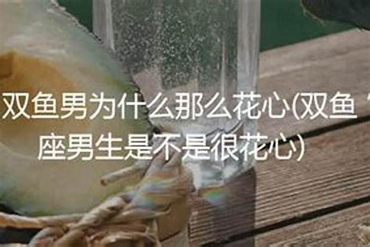 双子座和双鱼座谁更心机