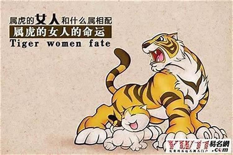 为什么都说属虎命不好