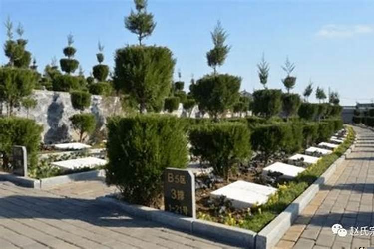 晚上去墓地有什么忌讳