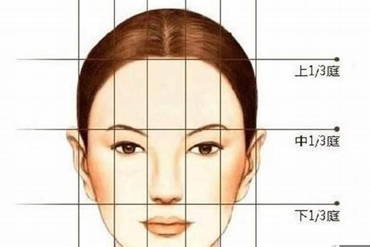 怎么测自己是什么骨相