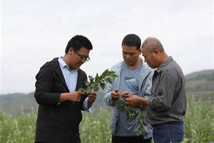 已婚女人梦见自己和老公种地
