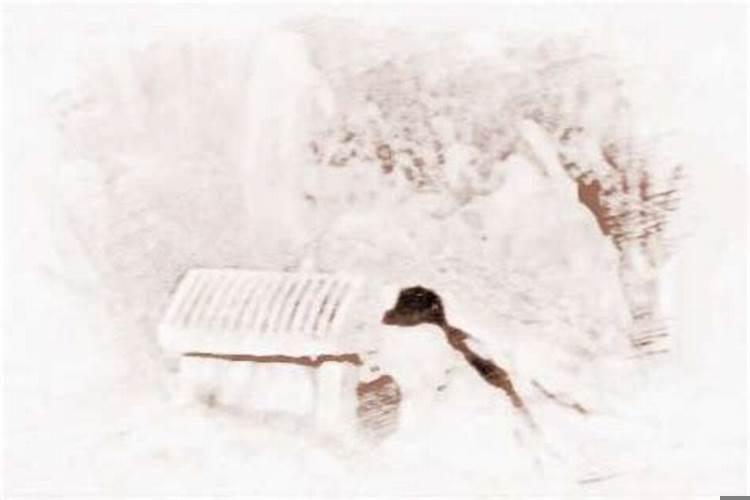 梦见亲人的坟墓垮塌是什么意思