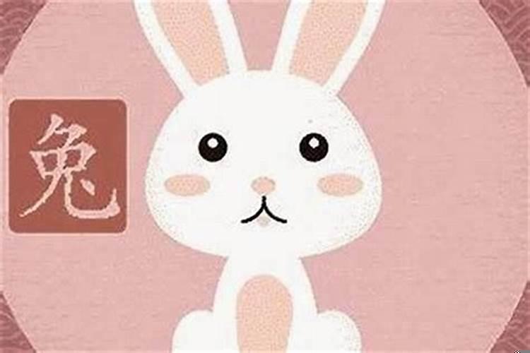 94年的狗和99年兔能不能结婚呢