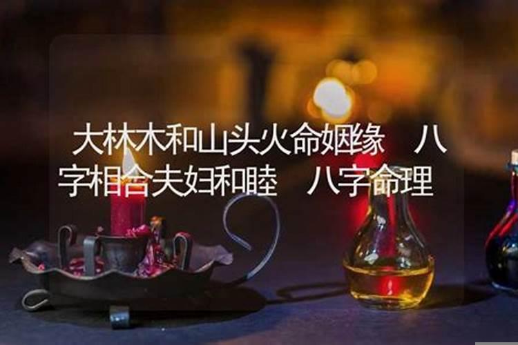 大林木和山头火命