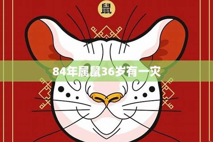 84年属鼠的灾难年龄