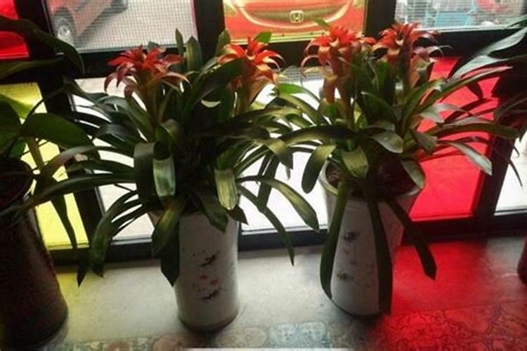 鸿运当头放在客厅的什么地方最好