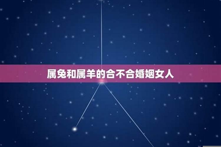 年份金木水火土