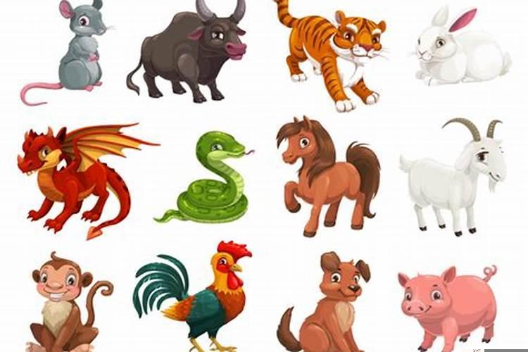 属鸡的人干什么最挣钱