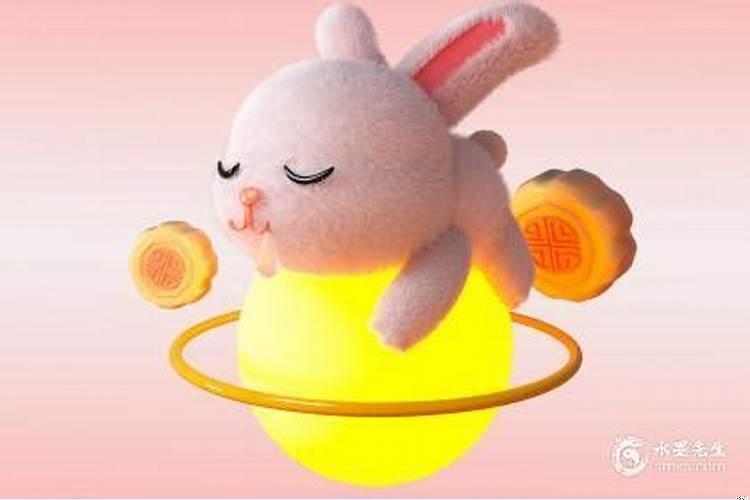 属兔佩戴什么饰物