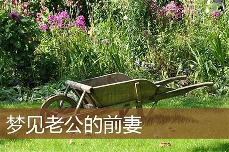 梦见丈夫的前妻死了