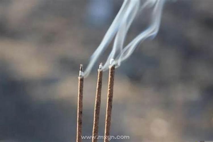 梦见狗出血死在怀里