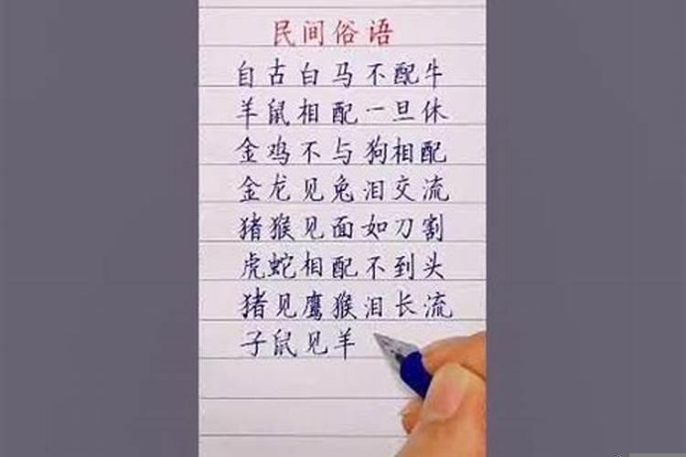 摩羯男与双鱼女配不配