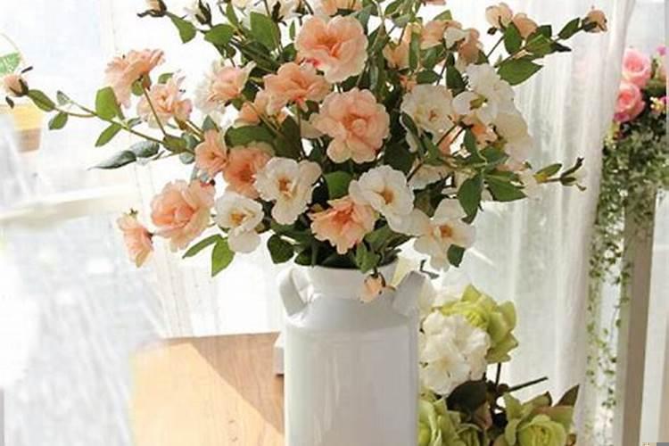 餐桌上适合摆放什么盆栽