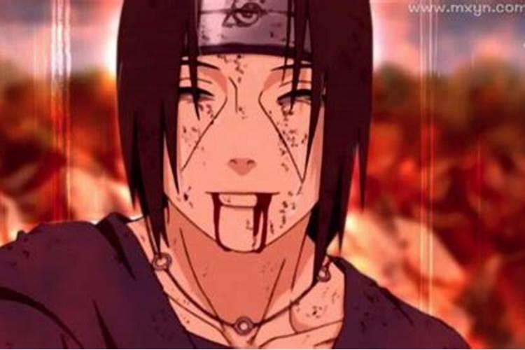 梦见哥哥买了一辆新车