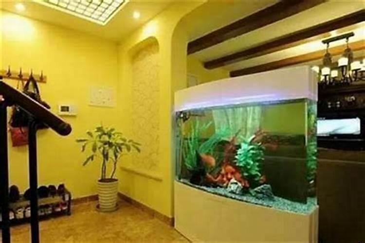 门口放水缸养鱼风水好不好